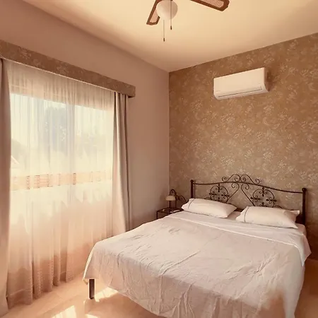 Villa Palm House With Private Pool And Garden