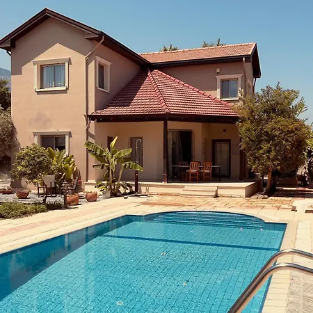 Palm House With Private Pool And Garden