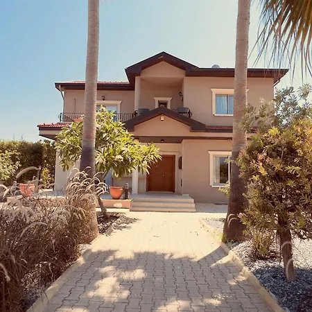 Villa Palm House With Private Pool And Garden