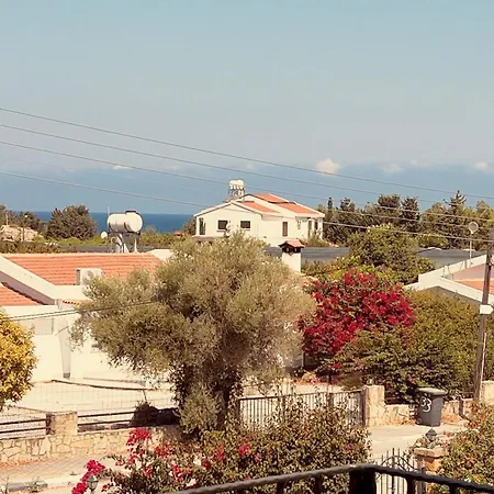 Villa Palm House With Private Pool And Garden